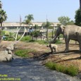 In the heart of Los Angeles, not far from glitzy Beverly Hills and the stars of Hollywood, lies a portal to a different age – an Ice Age filled with […]