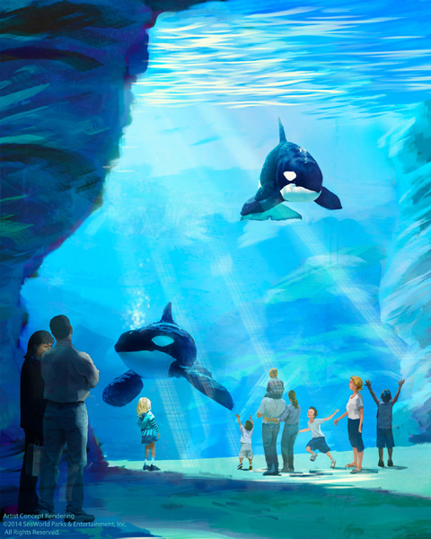 SeaWorld Killer Whale Environment