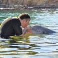 This Valentine’s Day, I never thought that I’d be spending it sharing sweet, sweet kisses… with a dolphin! Getting a smooch from a dolphin is just one among the amazing […]