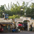 Disney’s Animal Kingdom has been going through some changes. Apart from the obvious construction seen going on as part of AVATAR World of Pandora, smaller things are happening. To the right […]