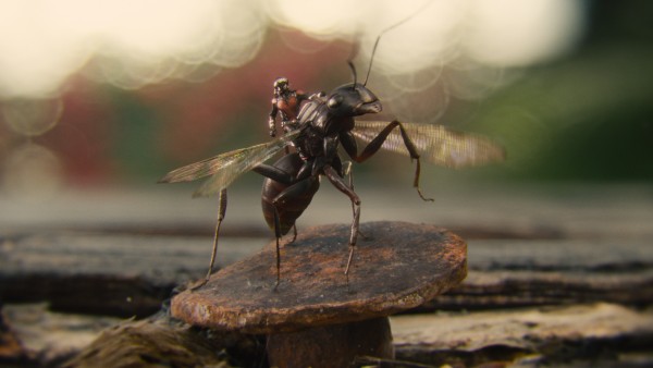 Marvel's Ant-Man Ant-Man/Scott Lang (Paul Rudd) riding Antony Photo Credit: Film Frame © Marvel 2015